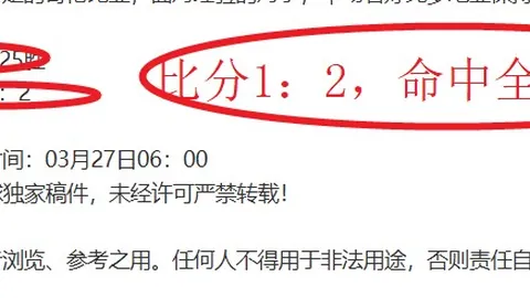 清州KB之星女篮过关可能性分析：数据矛盾揭示真相